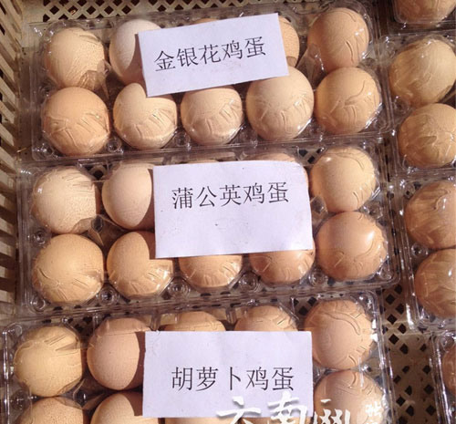 生態(tài)農(nóng)業(yè)新項目：讓雞吃中草藥市場非常青睞下的生態(tài)蛋