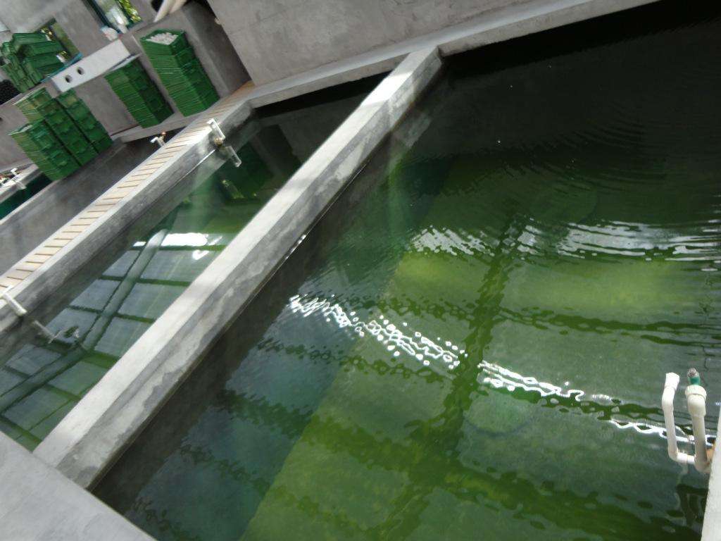 防水防腐資質