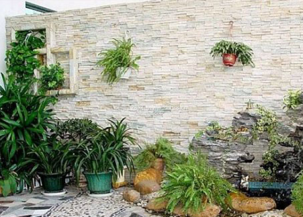 室內植物