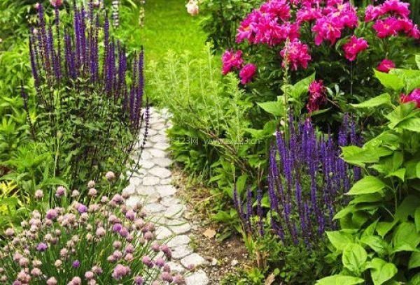 入戶花園效果圖 入戶花園效果圖