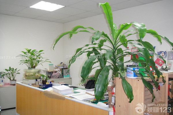 植物凈化法