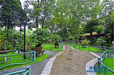 有帶園林綠化資質轉讓的嗎，購買園林綠化公司去哪找